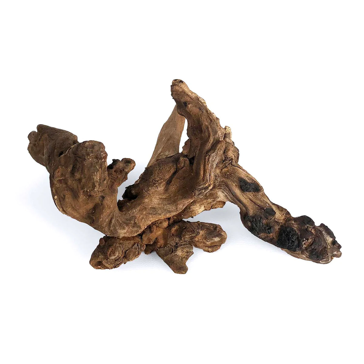 Weathered Driftwood XXL Aquarium Roots