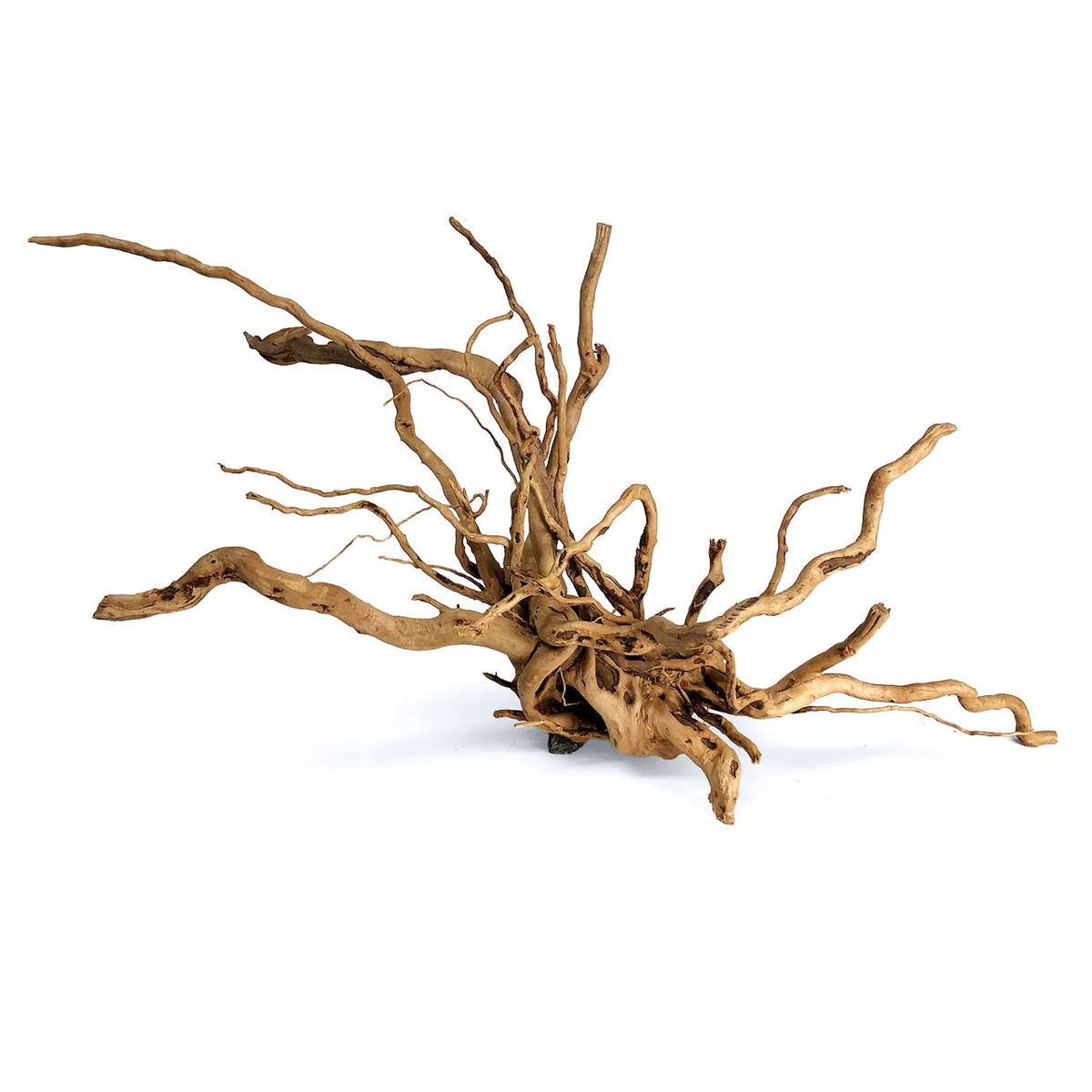Spider Wood XL Aquarium Roots