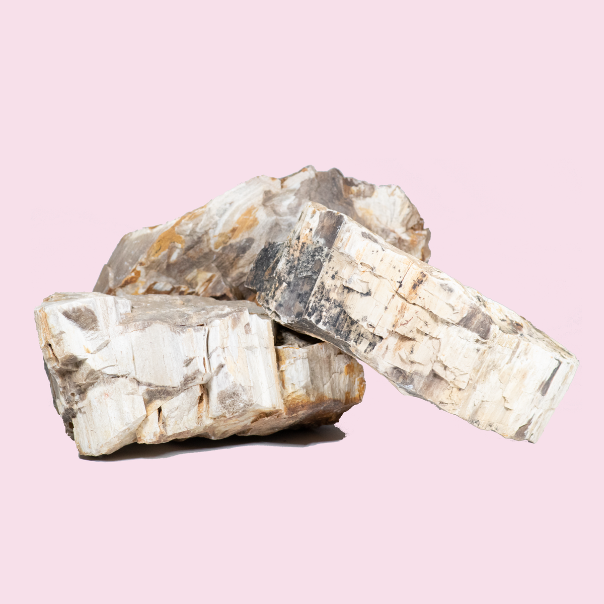 Petrified Wood Aquarium Roots