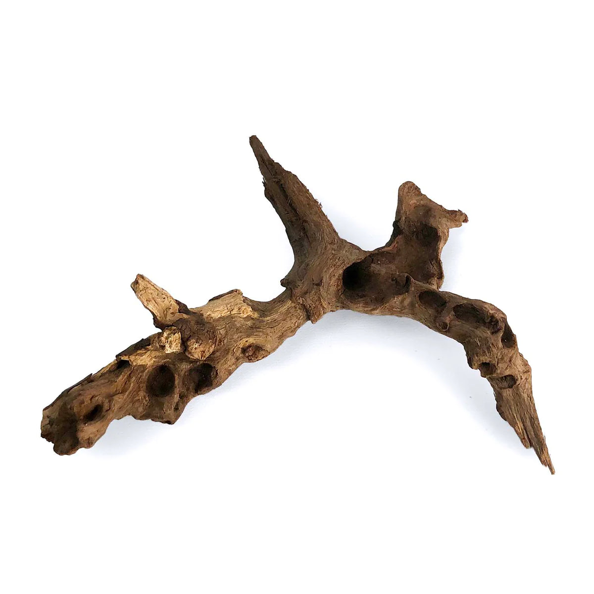 Weathered Driftwood XXL Aquarium Roots